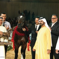Dubai 2009 - Champion Stallion Royal Colours